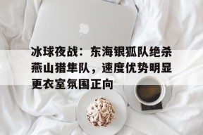 爱游戏- 冰球夜战:东海银狐队绝杀燕山猎隼队,速度优势明显更衣室氛围正向