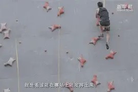 爱游戏- 体操夜战：燕赵灰熊队强势横扫钱塘貔貅队，速度优势明显赛后更衣室沸腾