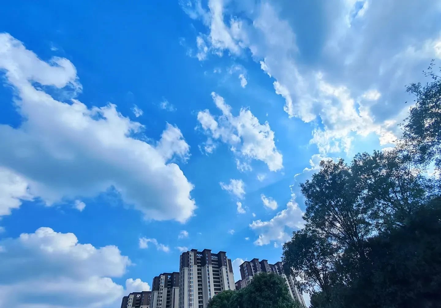  清晨上海久事门线救险：英超节点到来，赛场秩序良好，高层口径保持一致